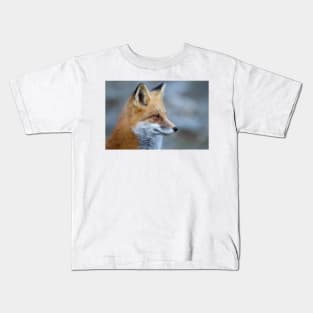 Red Fox - Algonquin Park, Canada Kids T-Shirt